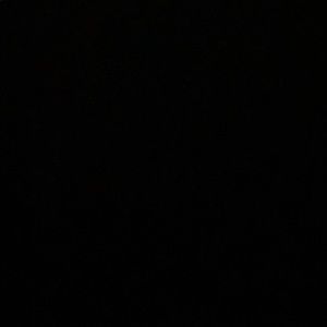 Meet your Posher, Abbie